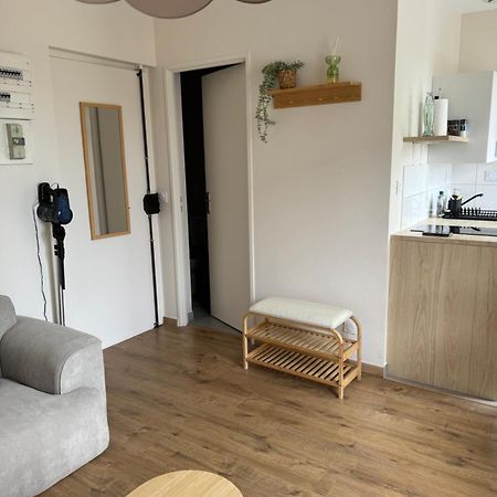 Appartement Avec Une Chambre 里昂 外观 照片