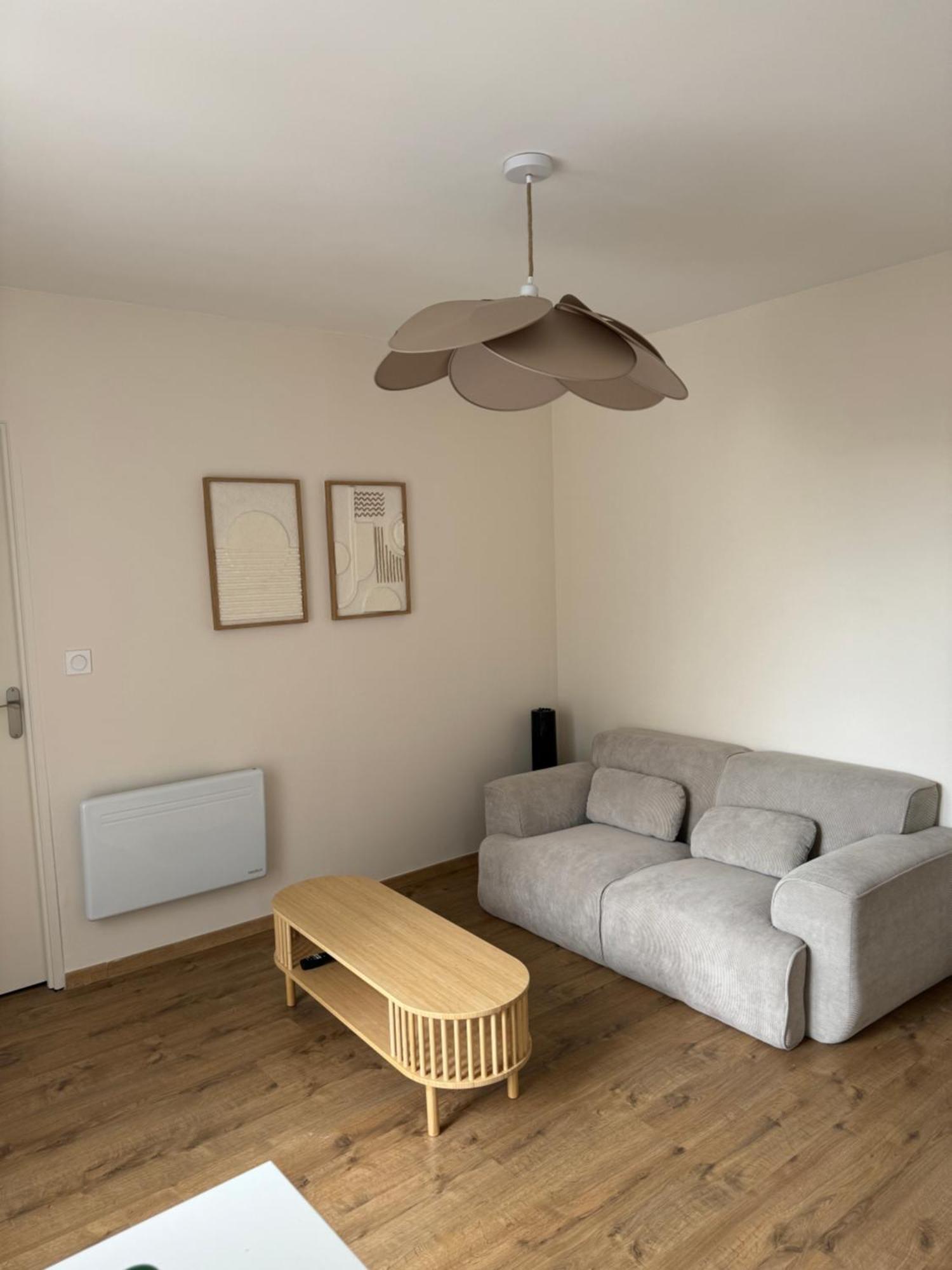 Appartement Avec Une Chambre 里昂 外观 照片