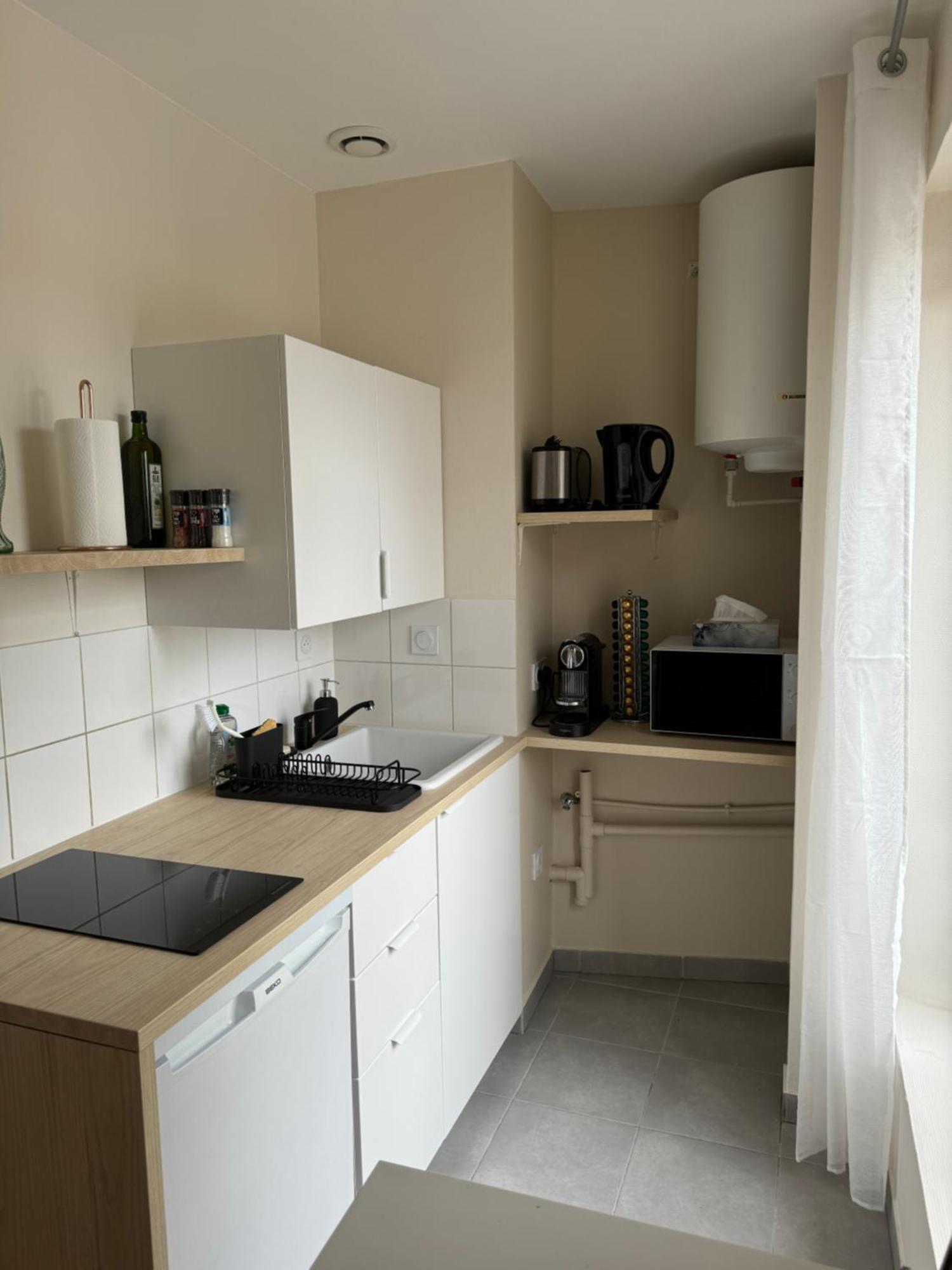 Appartement Avec Une Chambre 里昂 外观 照片