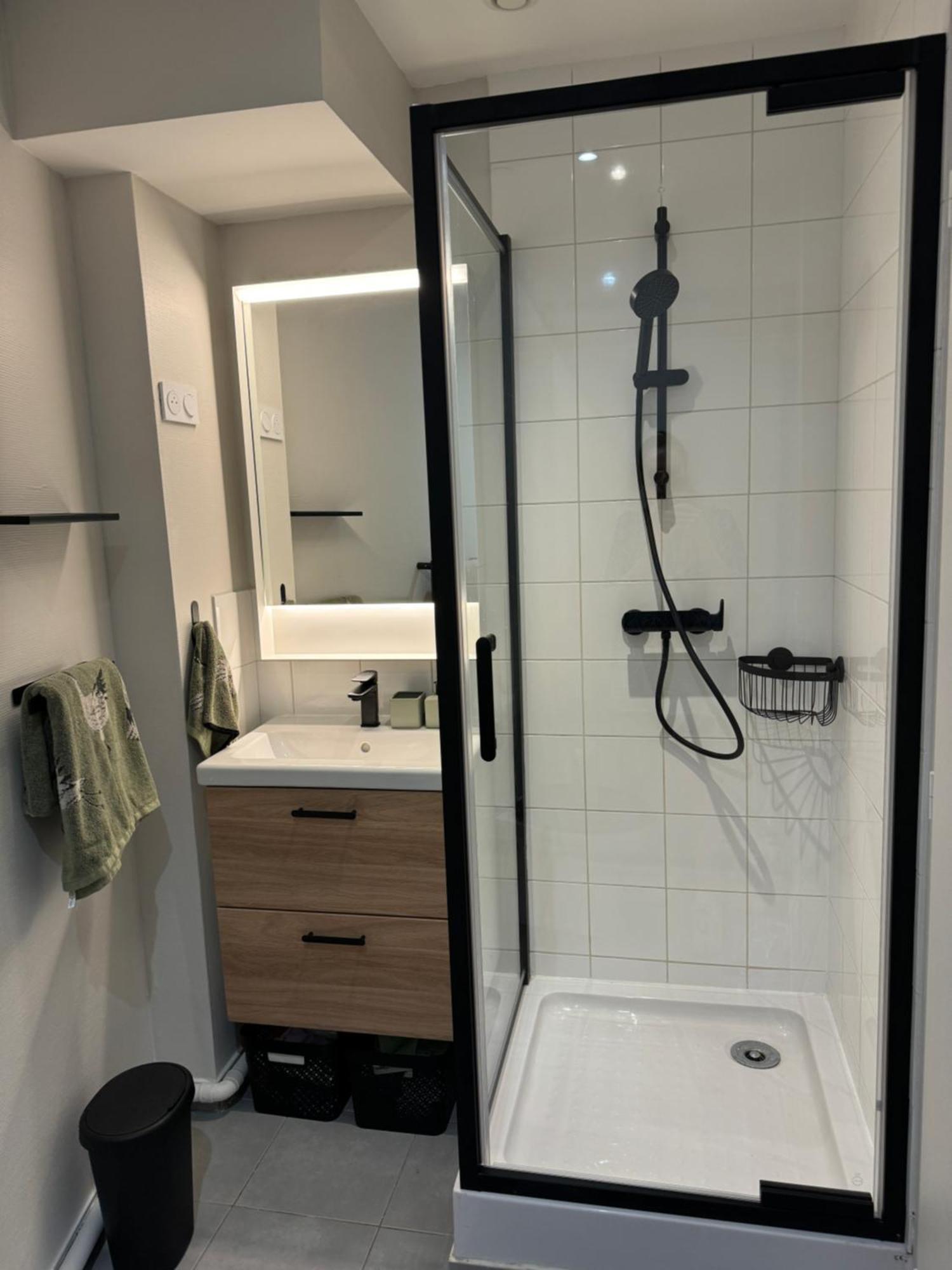 Appartement Avec Une Chambre 里昂 外观 照片