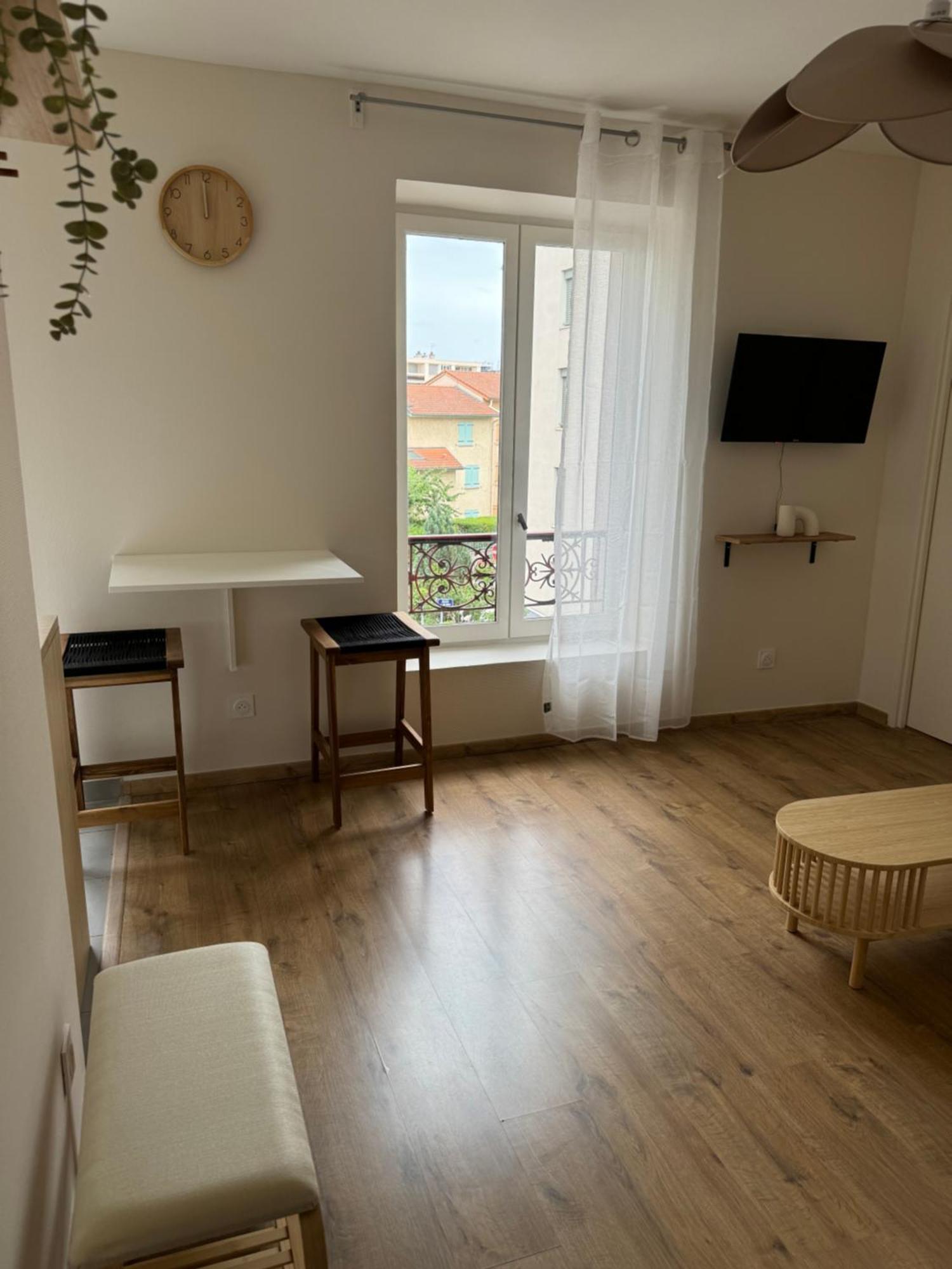 Appartement Avec Une Chambre 里昂 外观 照片