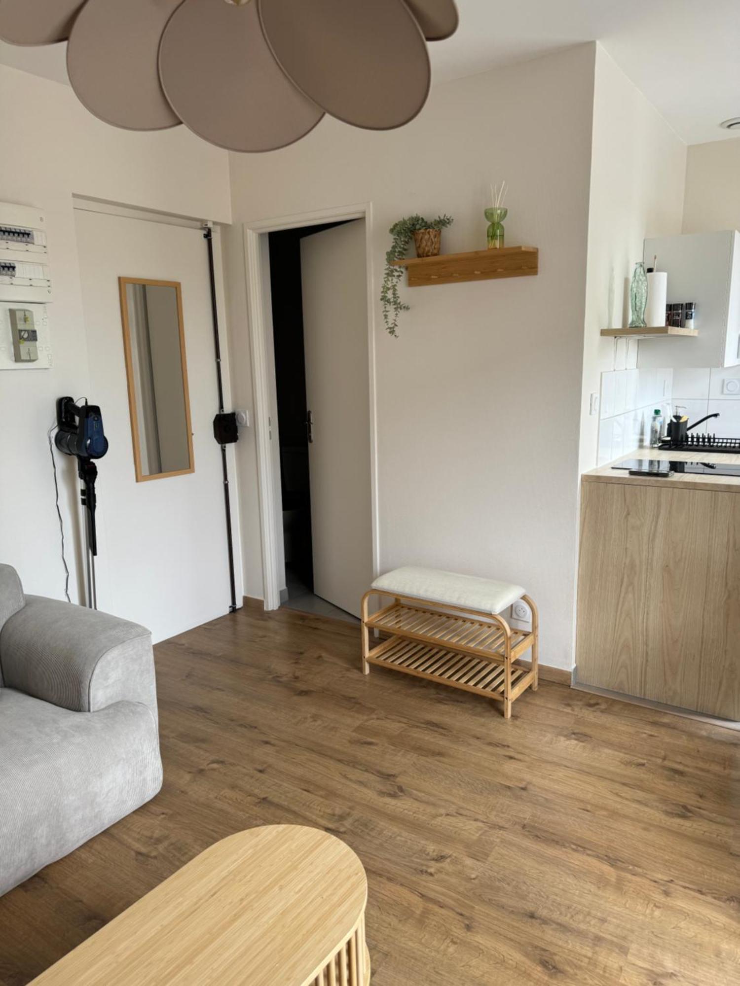 Appartement Avec Une Chambre 里昂 外观 照片