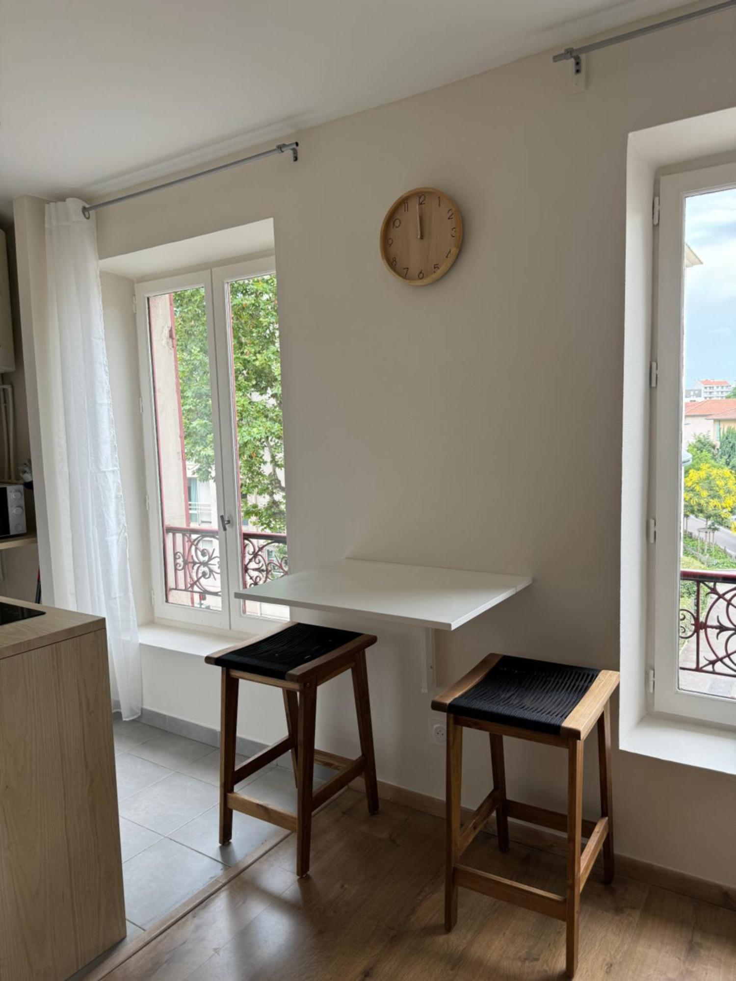 Appartement Avec Une Chambre 里昂 外观 照片
