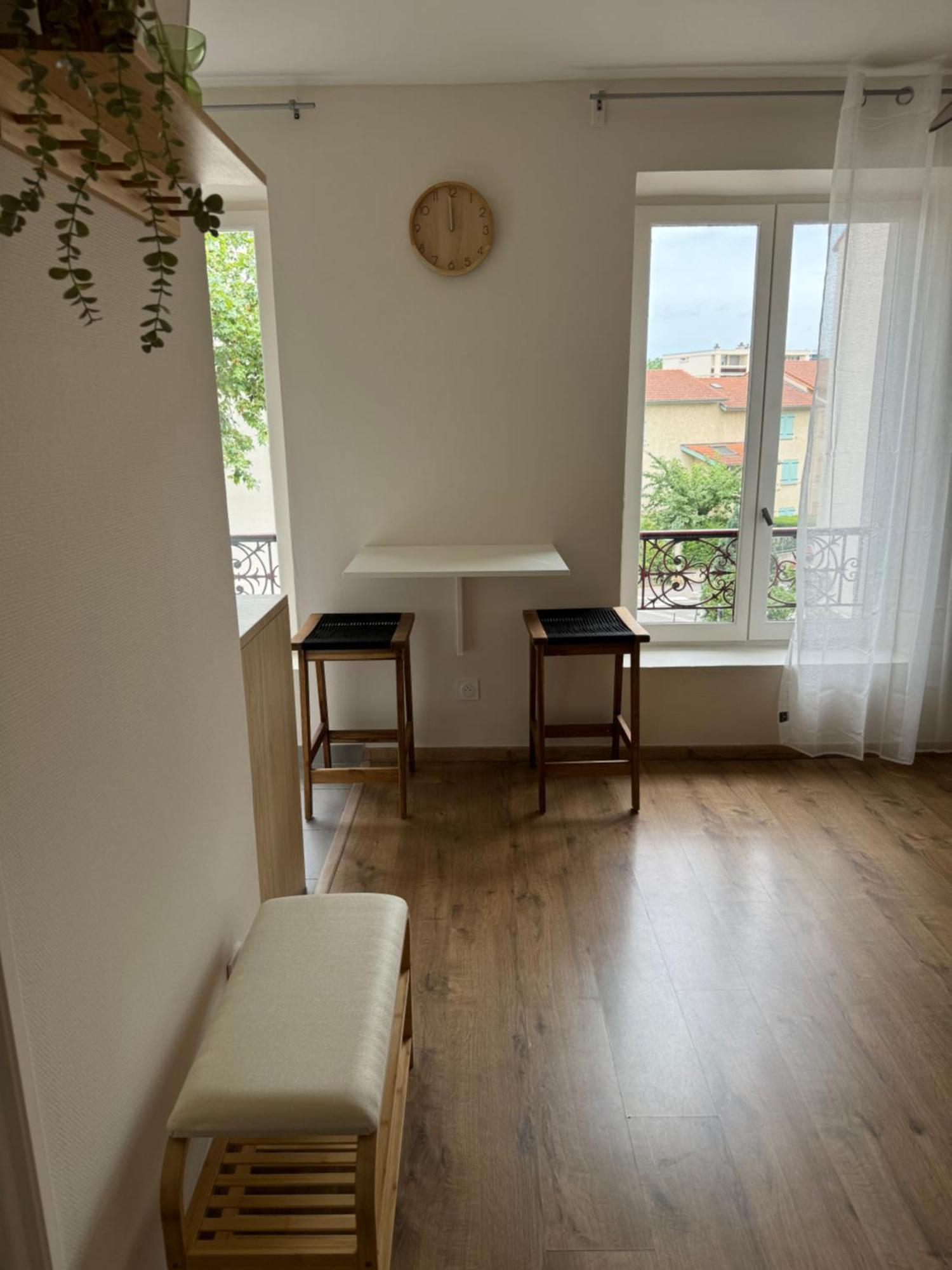 Appartement Avec Une Chambre 里昂 外观 照片